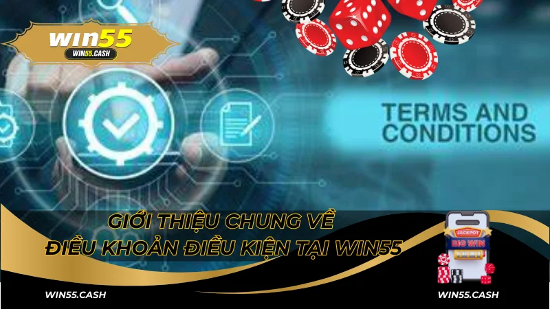 Tổng Hợp Tất Tần Tật Điều Khoản Điều Kiện Tại Win55 2 Giới thiệu chung về điều khoản điều kiện tại Win55