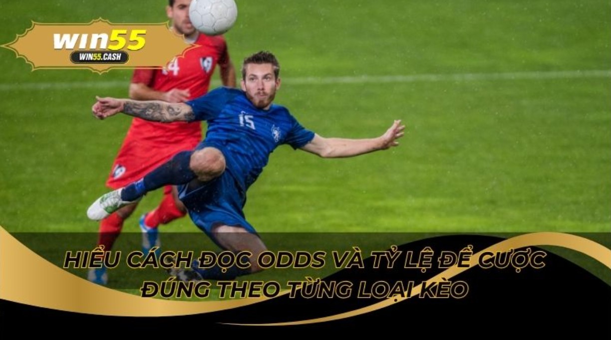 Hướng Dẫn Đọc Kèo Bóng Đá Win55 Chính Xác Từ Chuyên Gia 2 Hiểu rõ ba loại kèo phổ biến nhất trong bóng đá